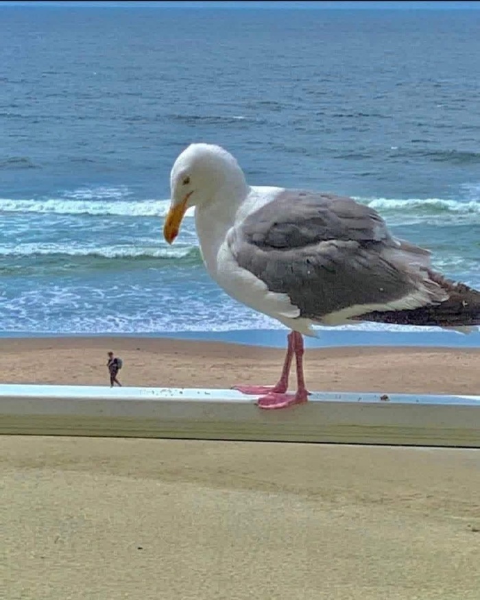 Время обедать