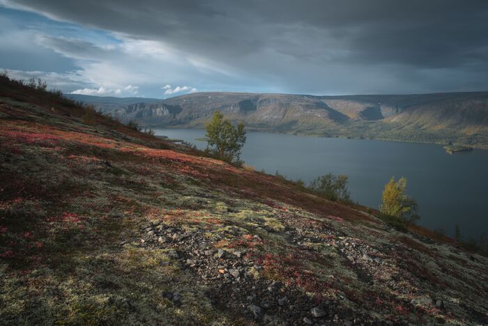 Сейдозеро. Лавозерские тундры. "Малое южное кольцо". Сентябрь 2025. Pentax K1/ K28 3.5
