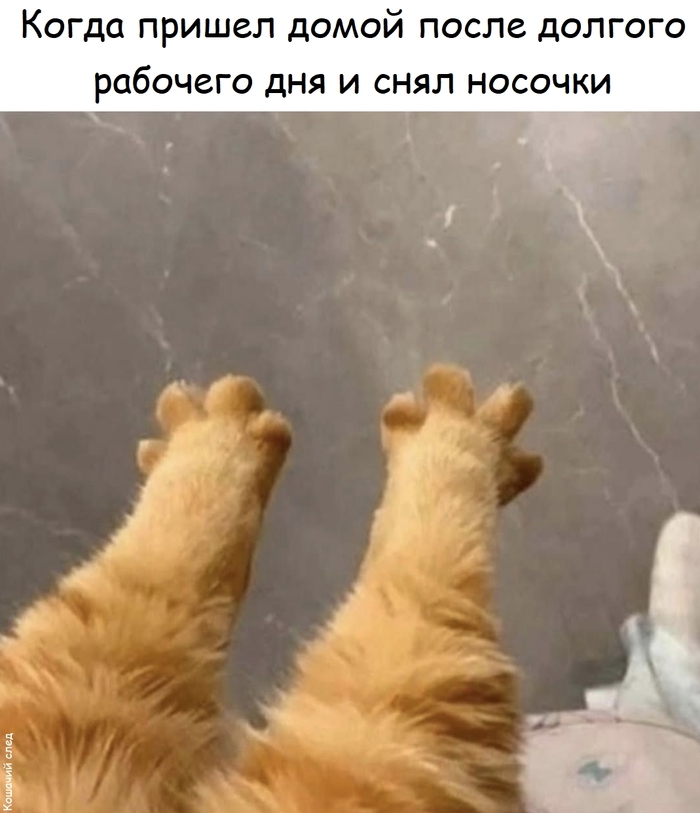 После долгого рабочего дня