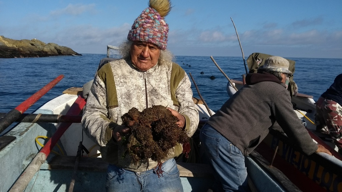 Когда был очень плохим ребенком, и Дед Мороз принес тебе вместо подарка это.