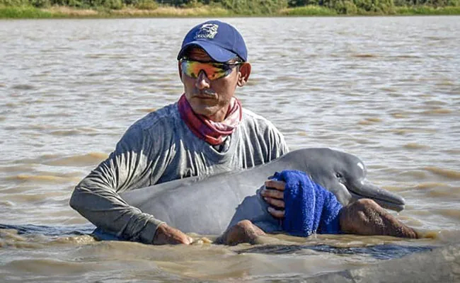       .      ,     .      .