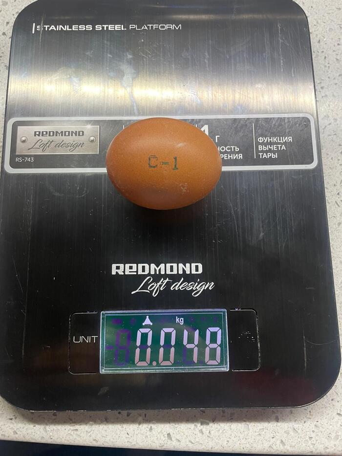 6 яиц из 10 весили около 48 грамм.