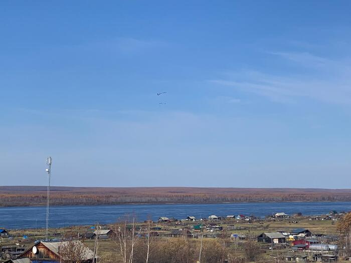 На фото: в небе над селом гусиная стая