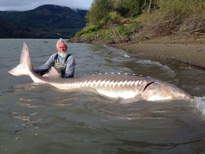 — Дед, давай уже быстрее, 3 желания. — Хочу миллион лайков под фото с тобой. — Эх, чёртова современность, будет исполнено!