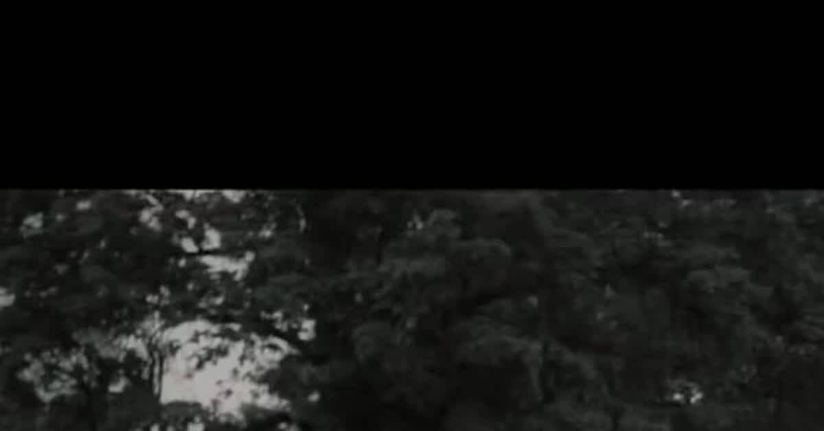 A Pale Horse Named Death 'Fell In My Hole - Видео вк, Короткие видео, Музыка, Клип, Видео, Длиннопост