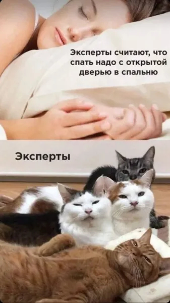 Экспертное мнение