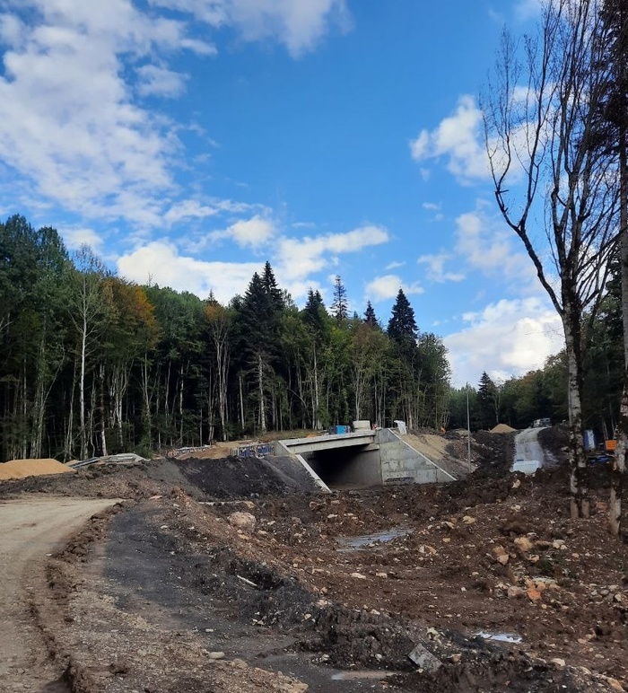 эстакады и путепроводы вырастают как будто прямо из земли