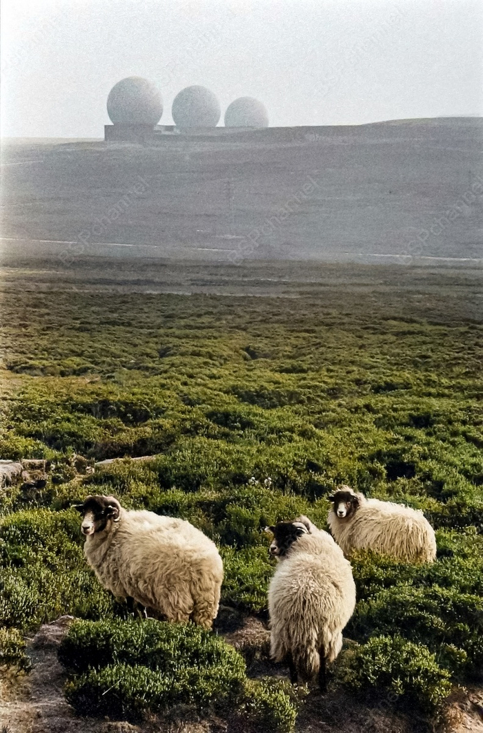 Фотограф: Мартина Франк