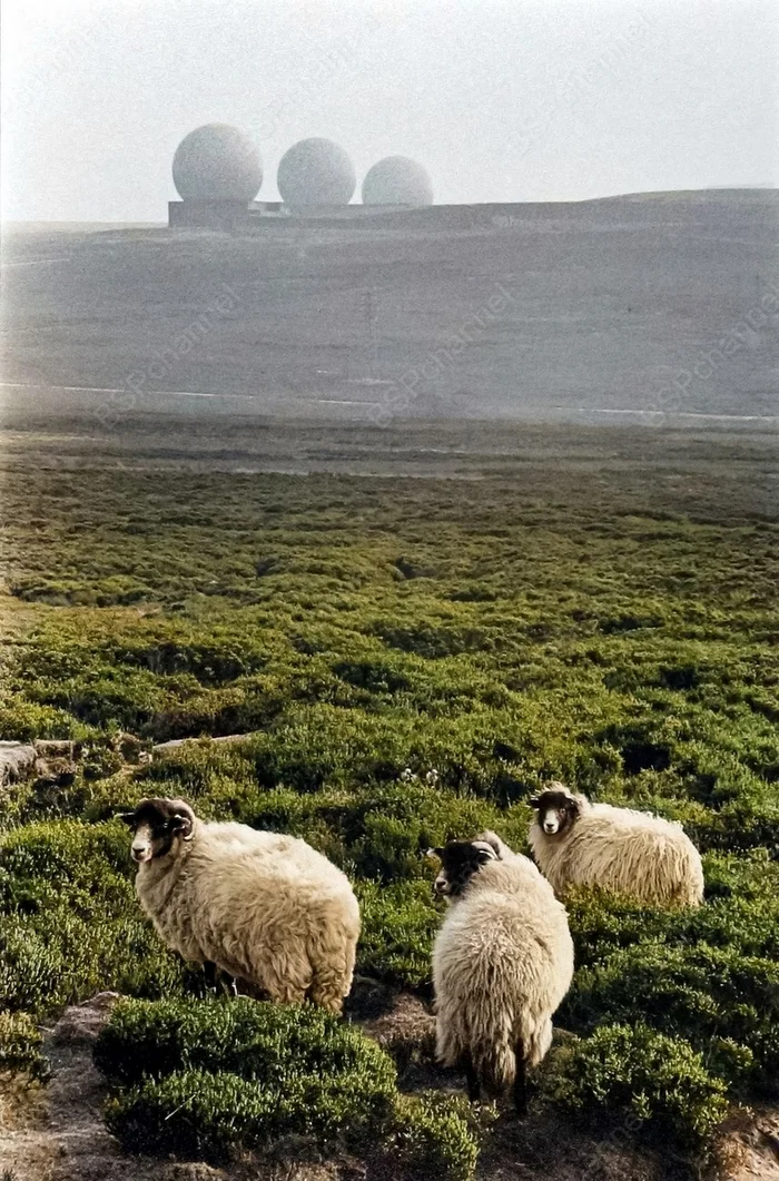 Фотограф: Мартина Франк Фотограф: Мартина Франк