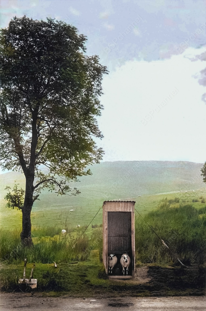 Фотограф: Дэвид Хёрн