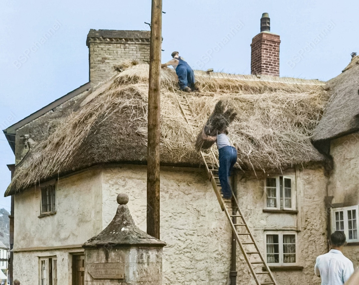 Фотограф: Г. Пэкхем