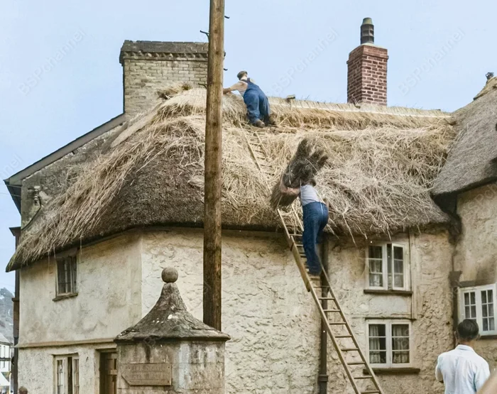 Фотограф: Г. Пэкхем Фотограф: Г. Пэкхем