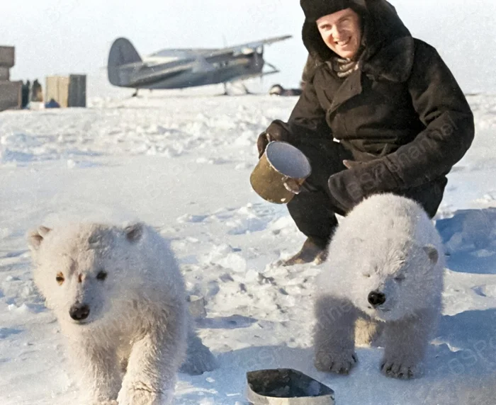 Фотограф: Роман Денисов Фотограф: Роман Денисов