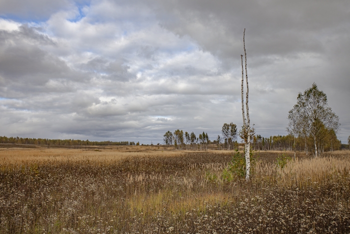 Canon EOS 5D mk.II + EF 17-40 f4/L USM