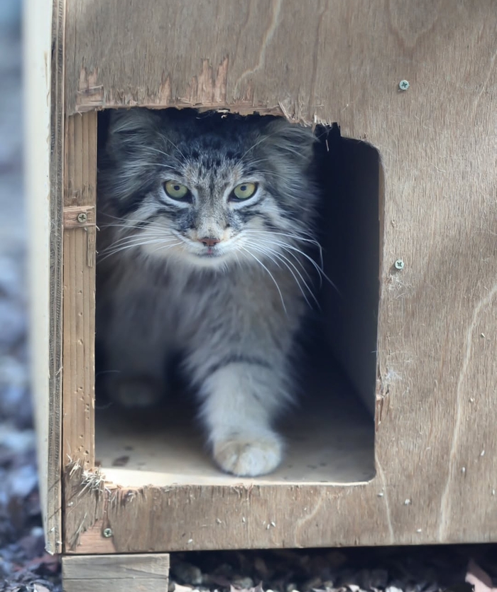 Проснулась и пошла радовать мир