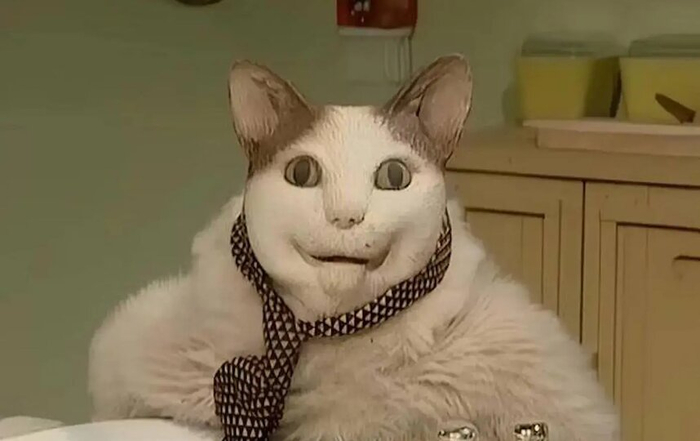 ������ �� ������������� ���������: ��������� �� ��������������