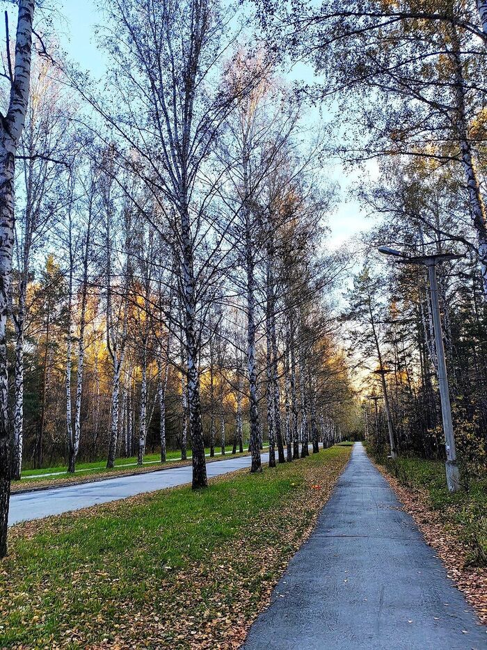 Осеннее утро