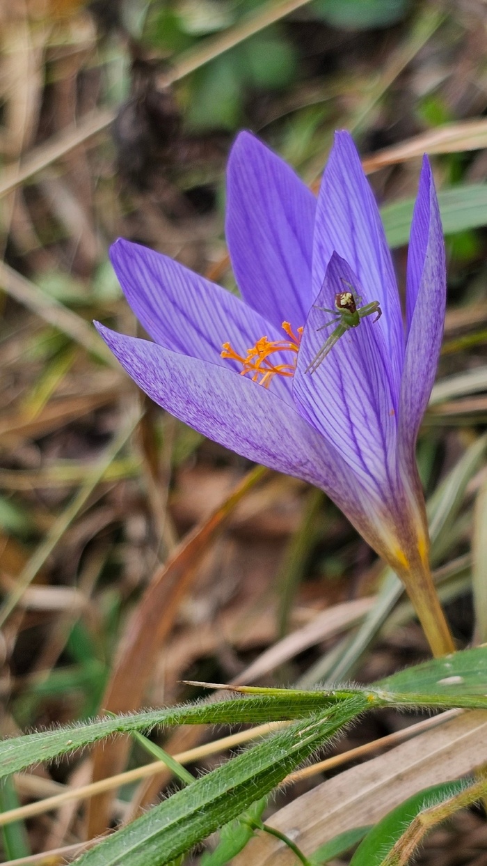 Фото Е. Ульянченко.