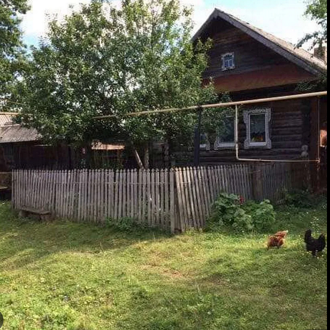 фото для примера