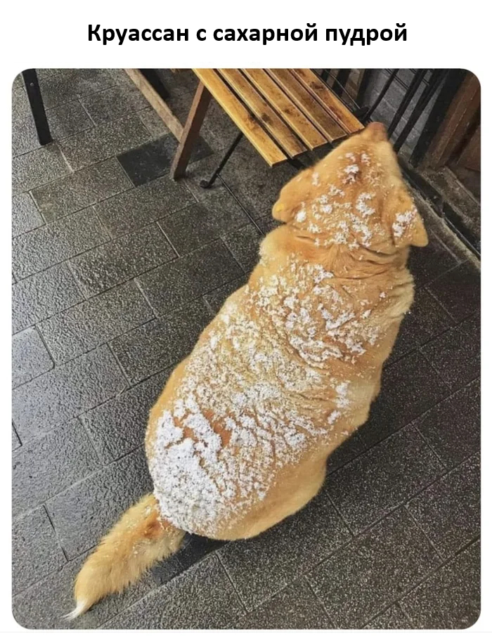 Сладкая булочка