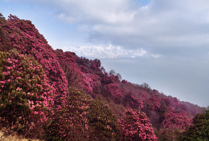        .           ,      .