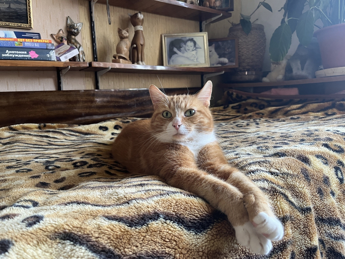 Филимон II и я =) (там, в дали...)