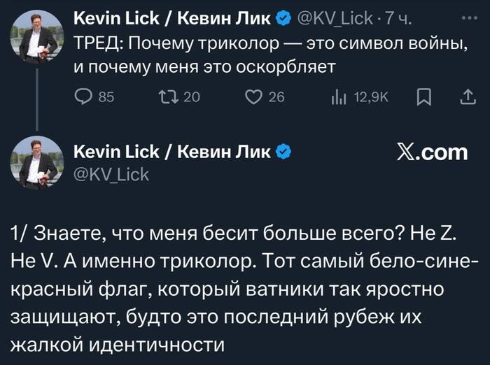 Очередная шиза