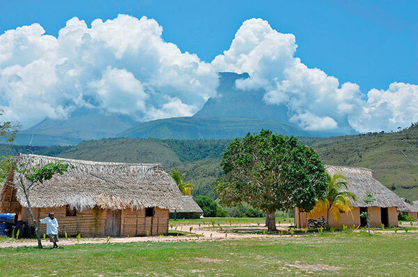 Дома пемоны строят, сначала устанавливая каркас из тонких жердей, а затем обмазывая его глиной. Крыша традиционно сооружается из пальмовых листьев