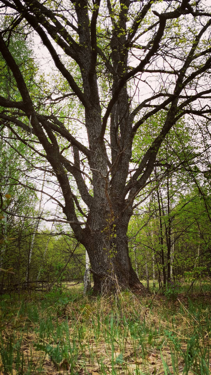 ��� ����� ���!