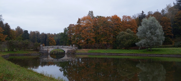 Есть в осени первоначальной...