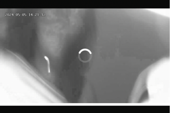 ������� �����������?