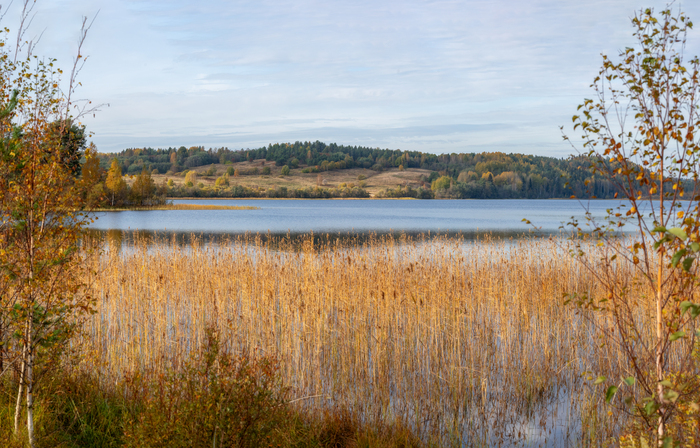 Озеро Руокоярви