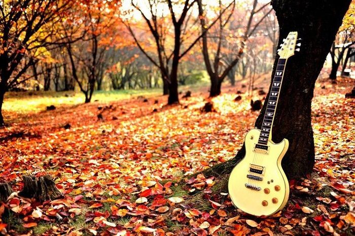 ������, ������� � ���� ������ ������