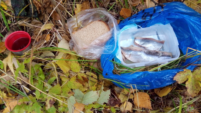 15       .  , ,  , .    ,        . ,        .       .