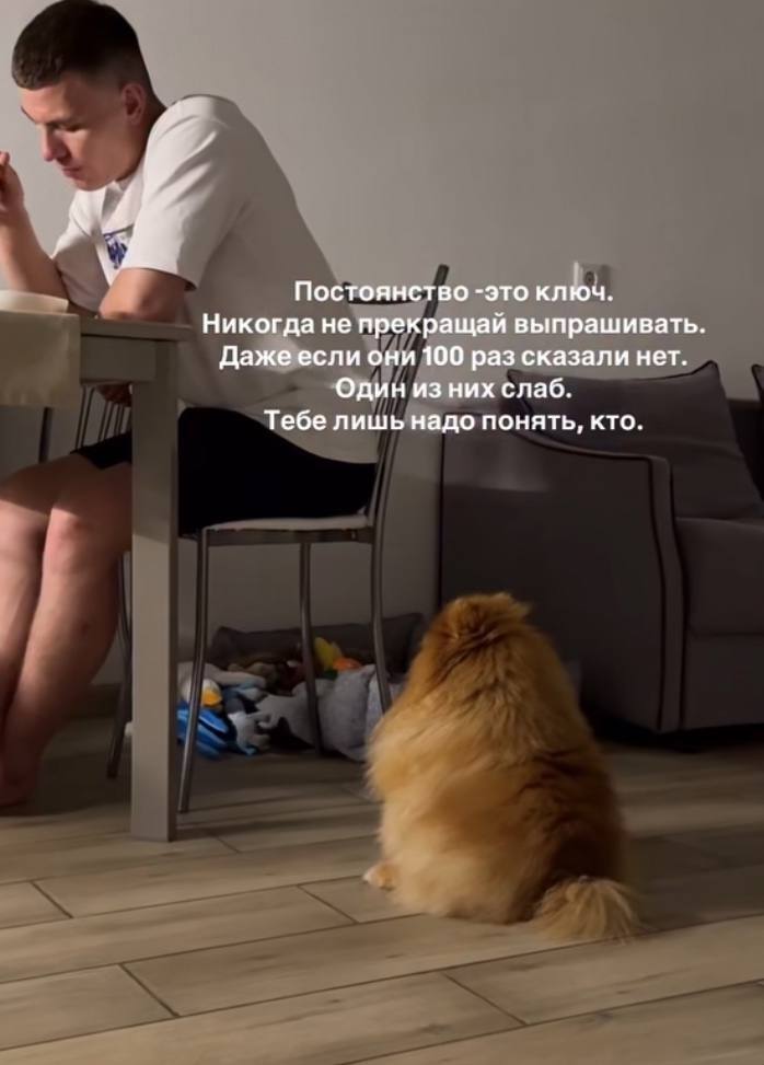 Не сдавайся