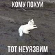 ����� ����� ������ ���� �����������
