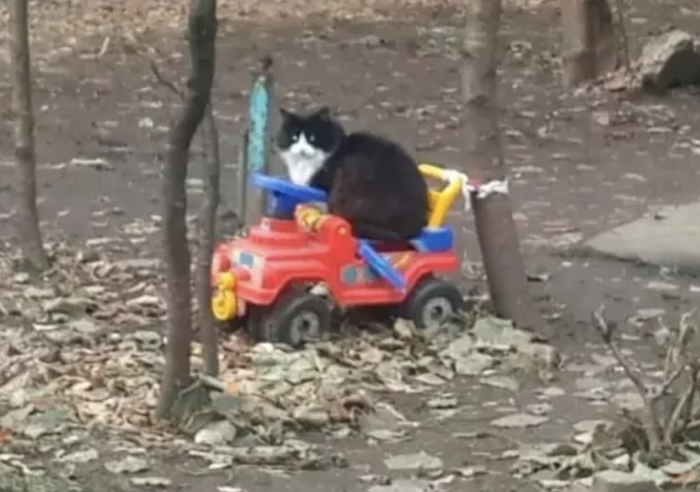 ����� ������ � ����� � ���� ���� ��� ����������: