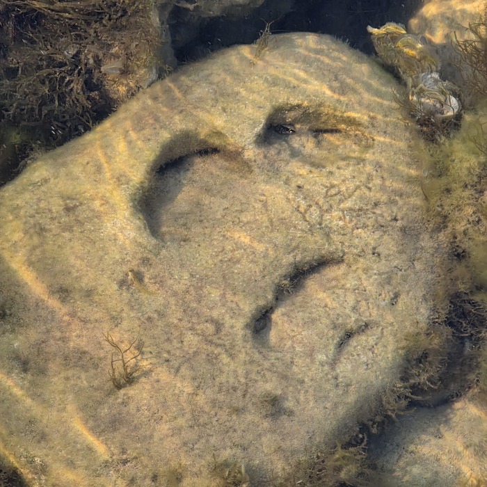 ��������� ��������� �������� �����������