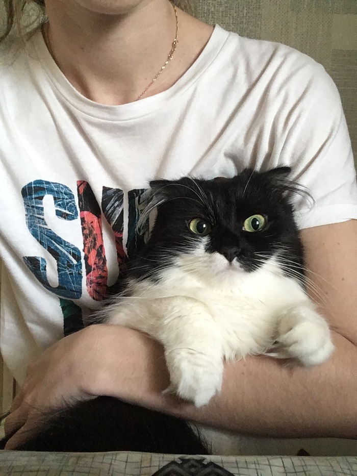 Это моя старшенькая, над ней нависла опасность(