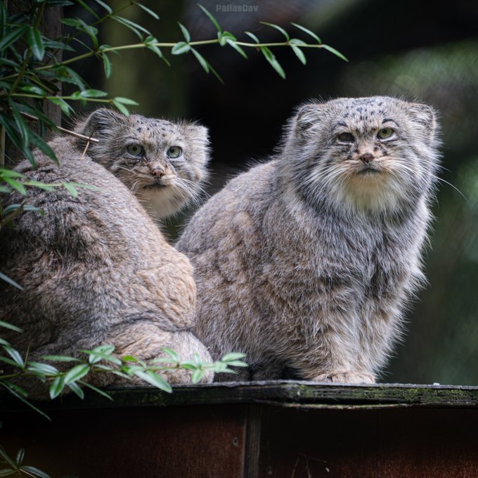 Явно фотограф очень аппетитный