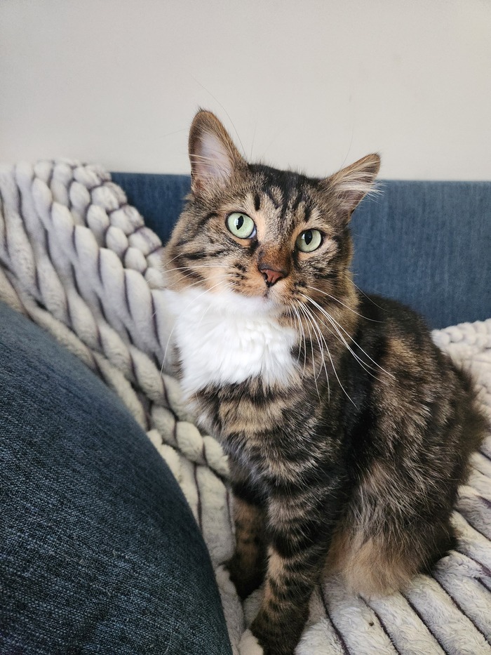 Ежедневный Рислинг #75