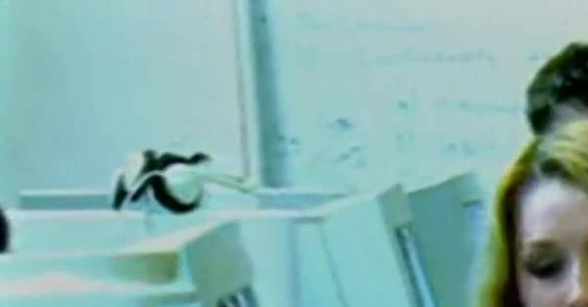 Ответ Gauree в «Помогите опознать системник из 90-х» - IT, Ретро, 90-е, Карьера, Ностальгия, 2000-е, Ответ на пост, Видео, Видео вк, Длиннопост