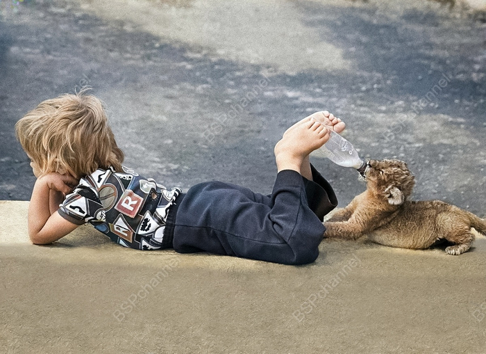 Фотограф: Джон Дрисдейл
