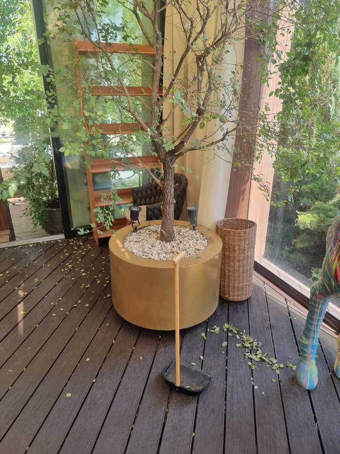 � ���� ��������� ��� 3-� ����� ��������; ��� ���� �������� �� �������� �����, ������ �� ���� ���