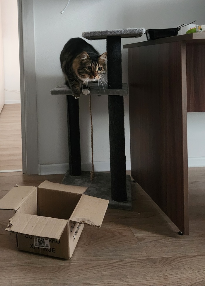 Ежедневный Рислинг #78