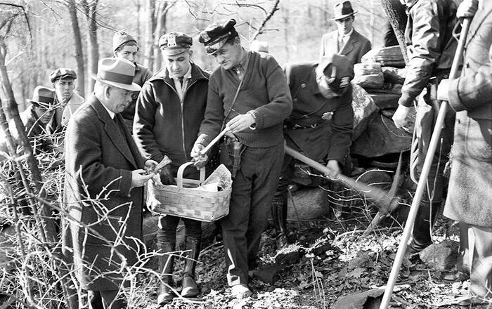    .        ,           -.