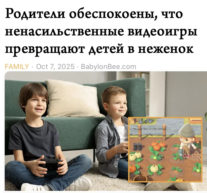 ����� ���� ��������