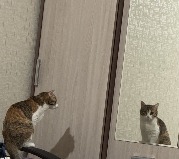 ������ � �������