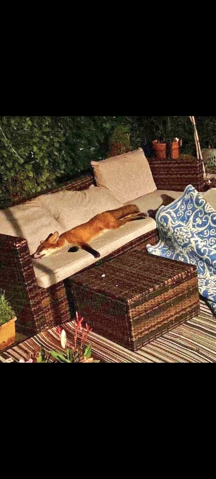 Как задолбали эти банковские хейтеры!! КвазиКЫШ в ящике ищите. БАНя работает!!