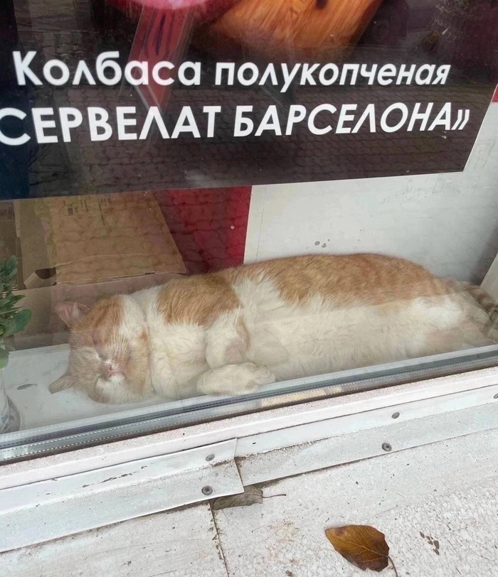 ����� ����� �����